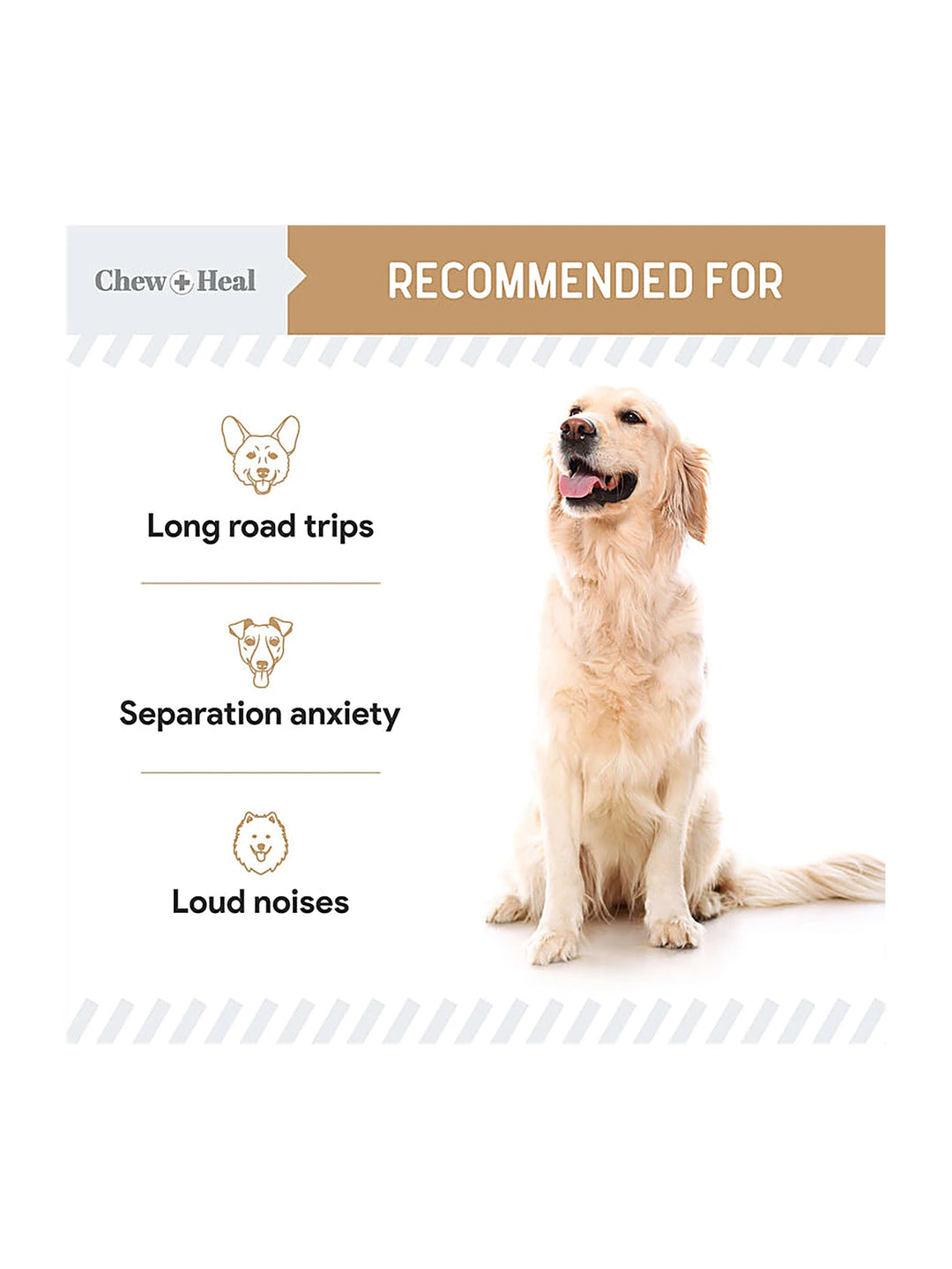 Anxiety + Stress Peanut Butter Flavored Soft Chew Calming Dog Supplement