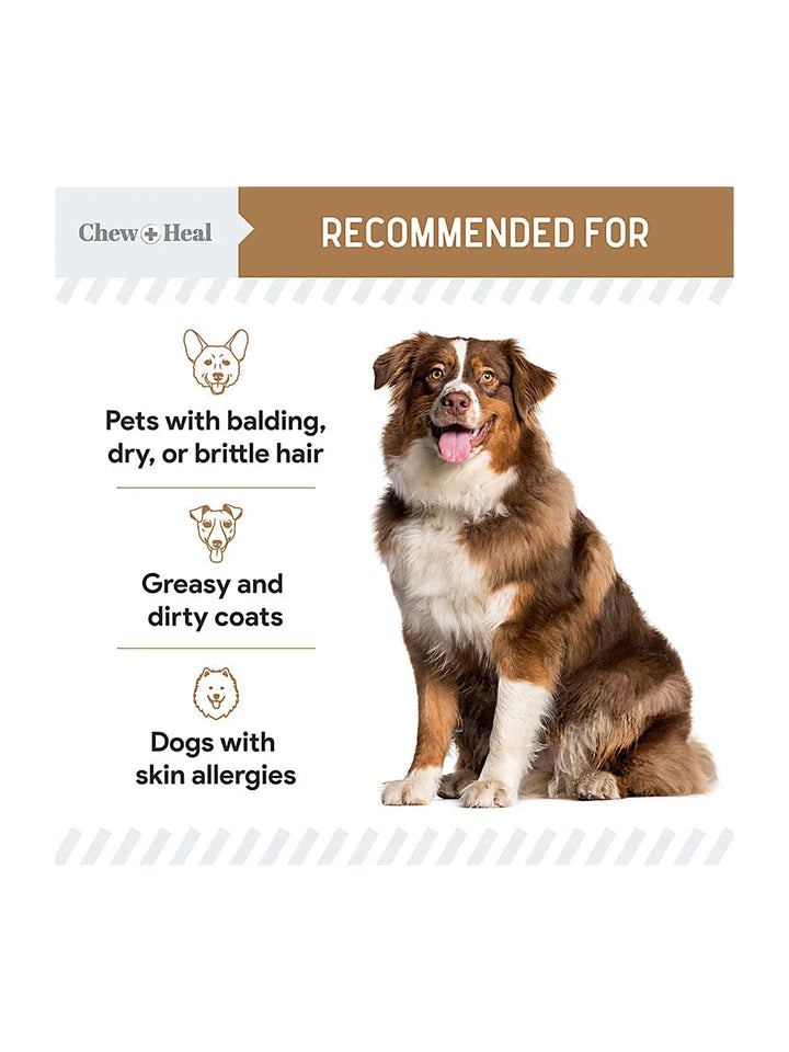 Peanut Butter Omega Skin + Coat Supplement for Dogs