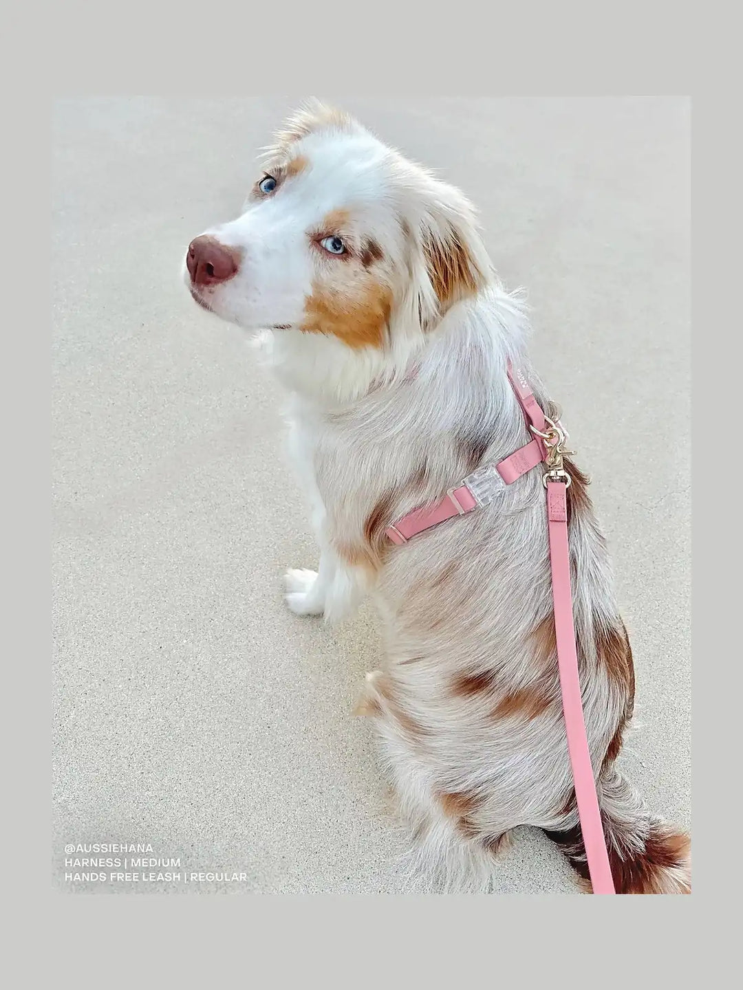 Perfect Pink Cloud Lite Dog Harness