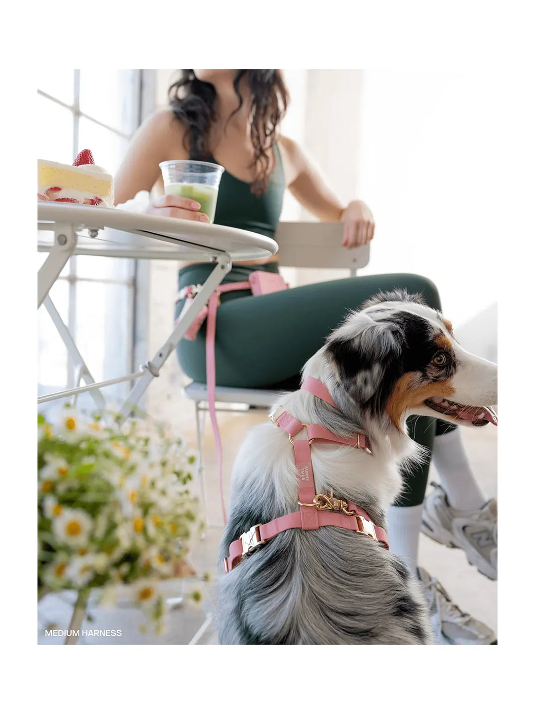 Perfect Pink Cloud Lite Dog Harness