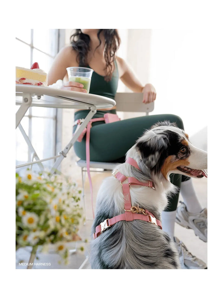 Perfect Pink Cloud Lite Dog Harness