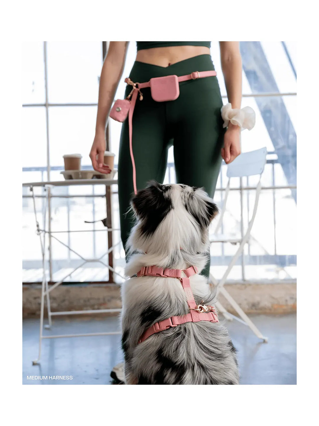 Perfect Pink Cloud Lite Dog Harness