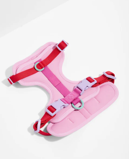Dog Harness