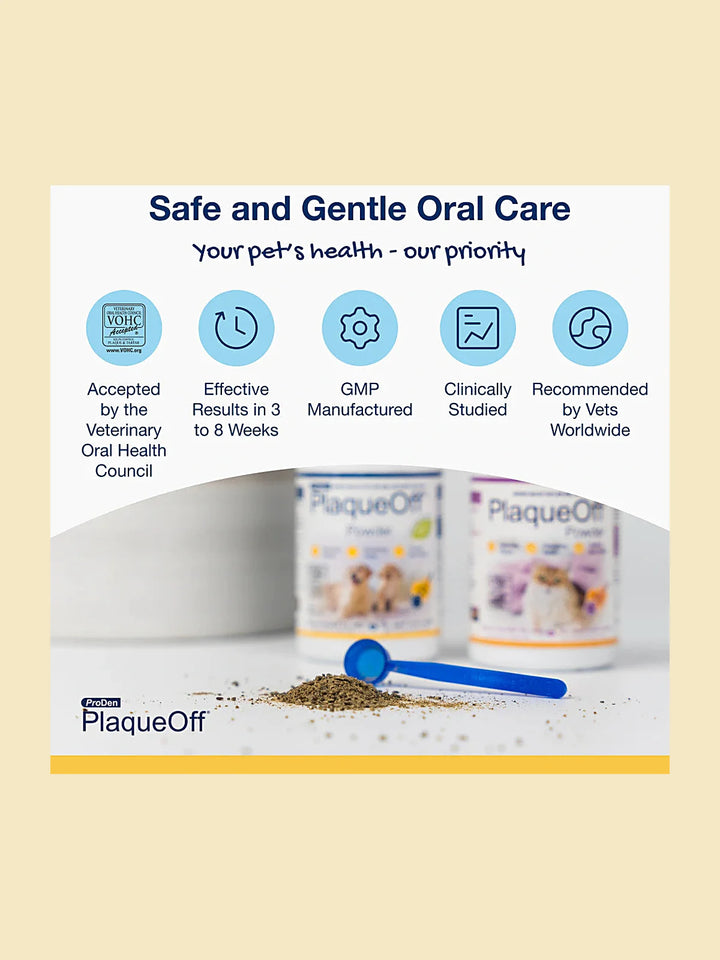 Powder for Cats 40g