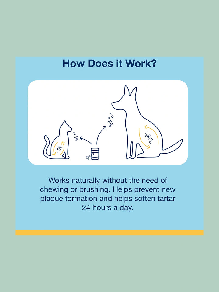 Powder for Cats 40g