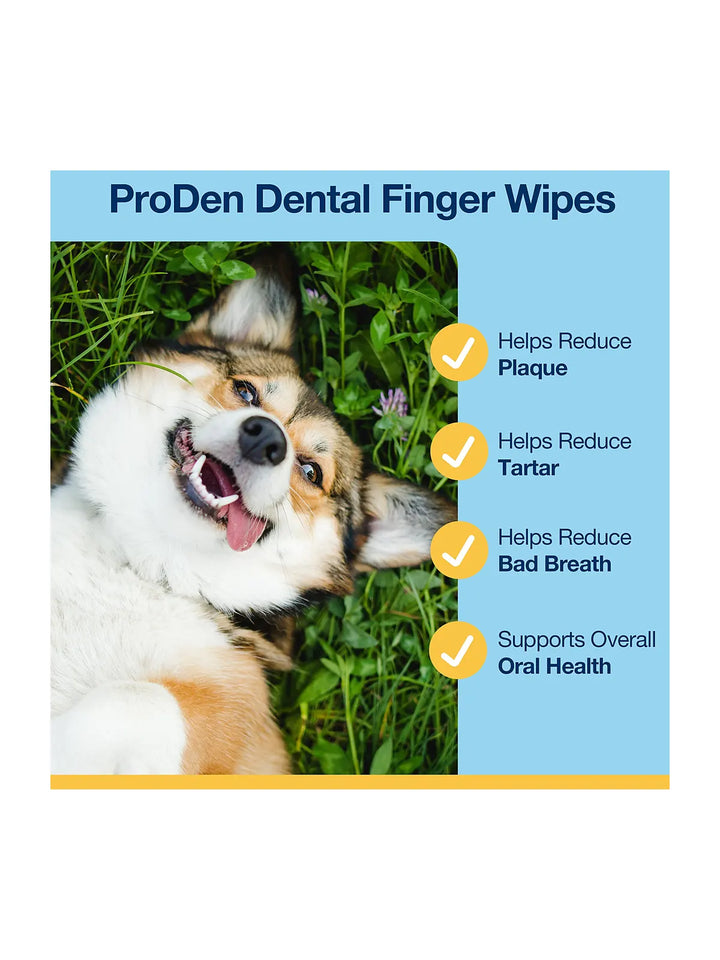 ProDen Dental Finger Wipes (50 Wipes)