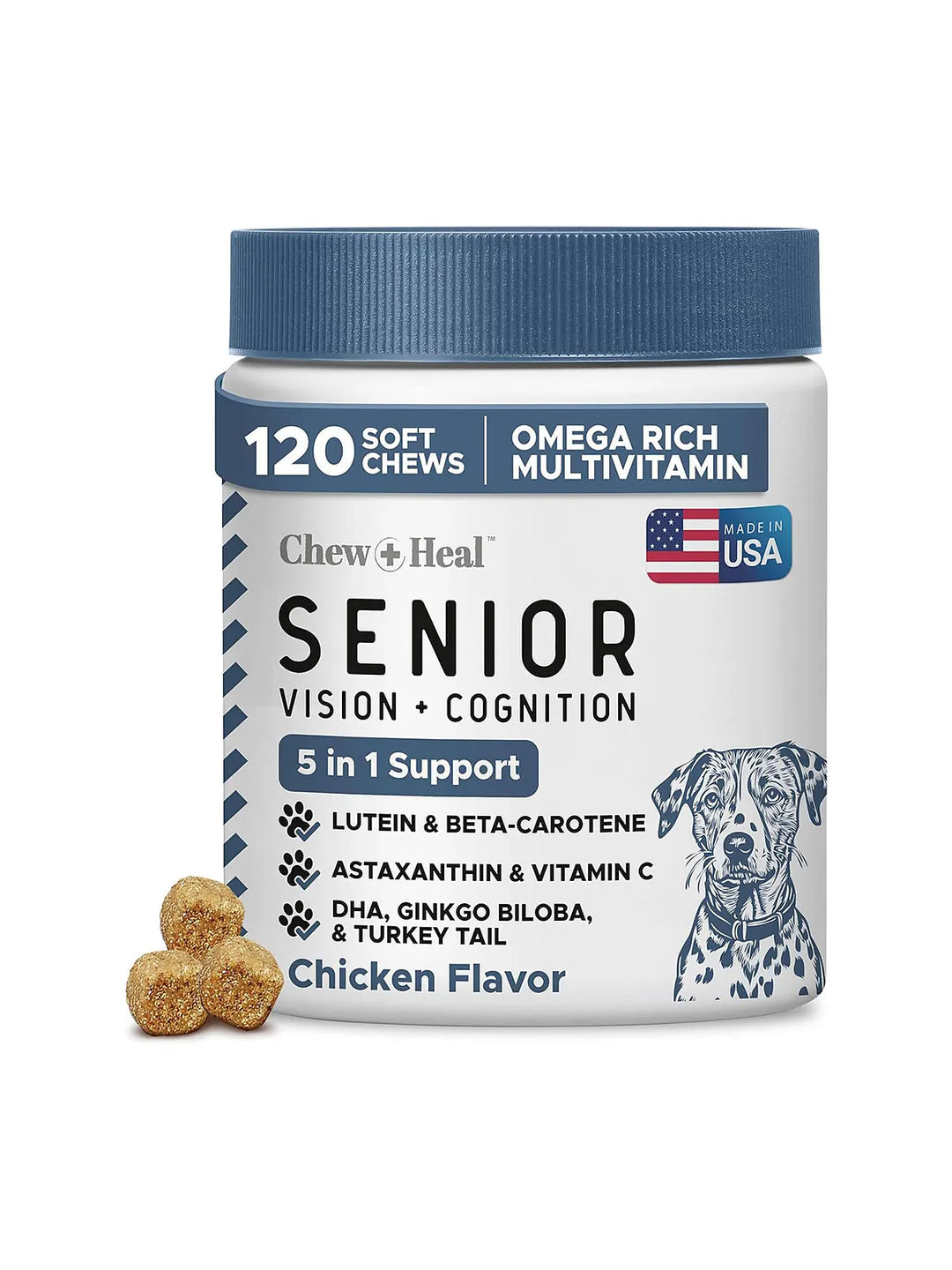 Senior Vision and Cognition