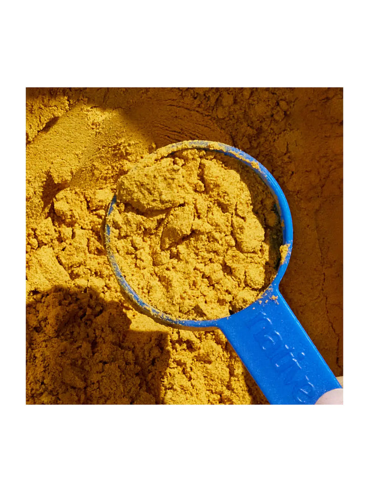 Pumpkin - Supports digestive regulatory and firm stool