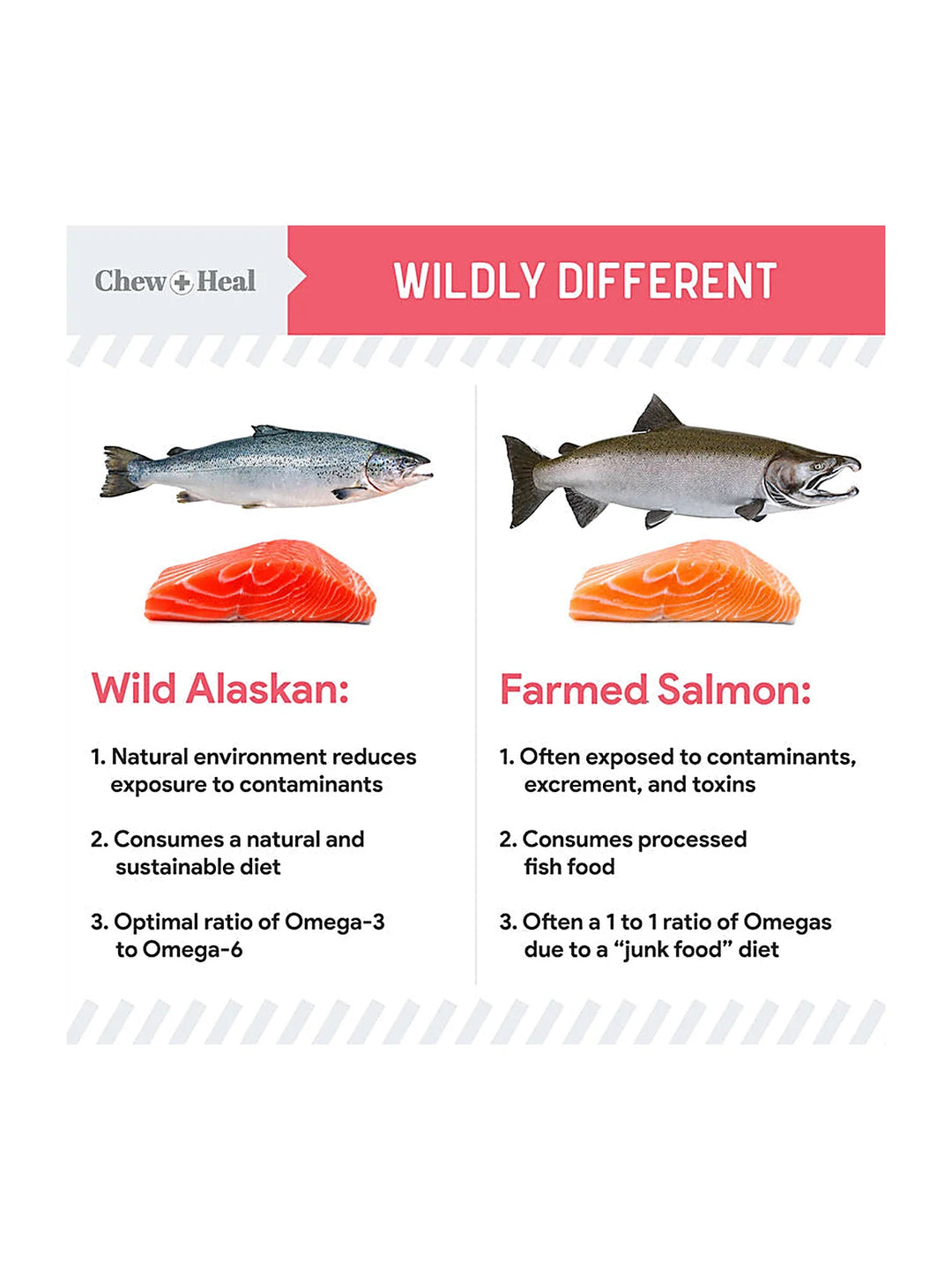 Puppy Soft 'N Yummy Wild Alaskan Salmon Limited Ingredient Jerky Dog Treats