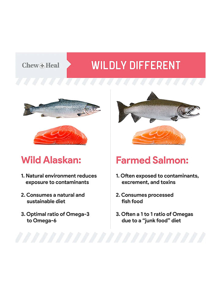 Puppy Soft 'N Yummy Wild Alaskan Salmon Limited Ingredient Jerky Dog Treats