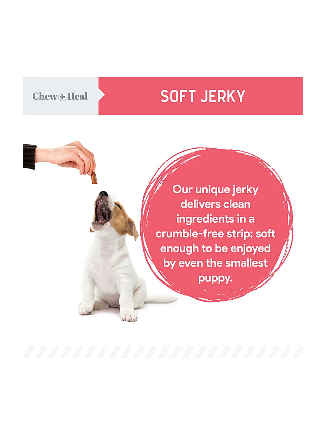 Puppy Soft 'N Yummy Wild Alaskan Salmon Limited Ingredient Jerky Dog Treats