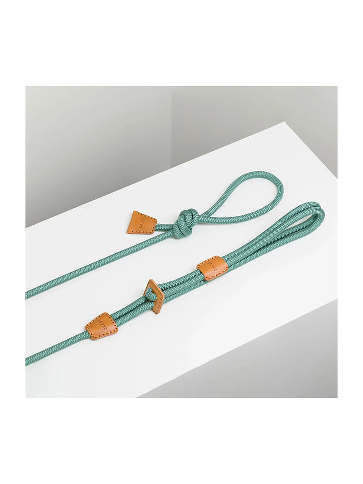 Ray Harness (Limited Time Offer)