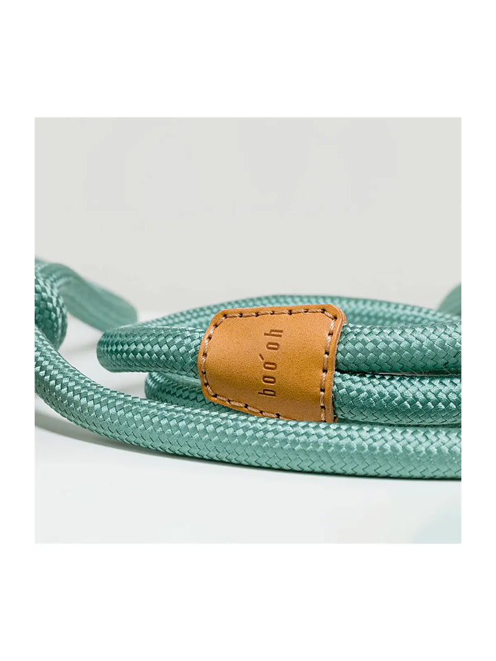 Ray Harness (Limited Time Offer)