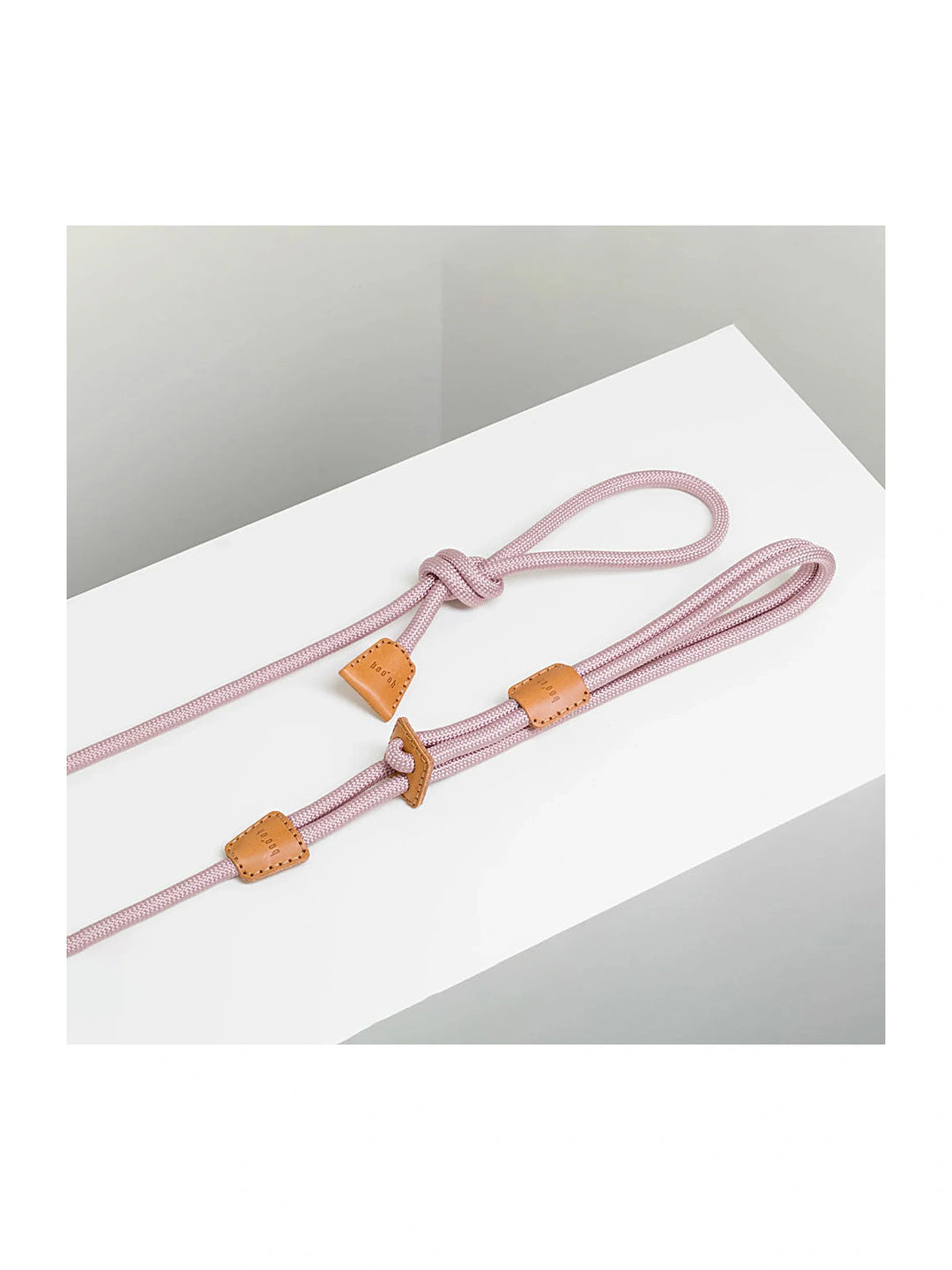 Ray Harness (Limited Time Offer)