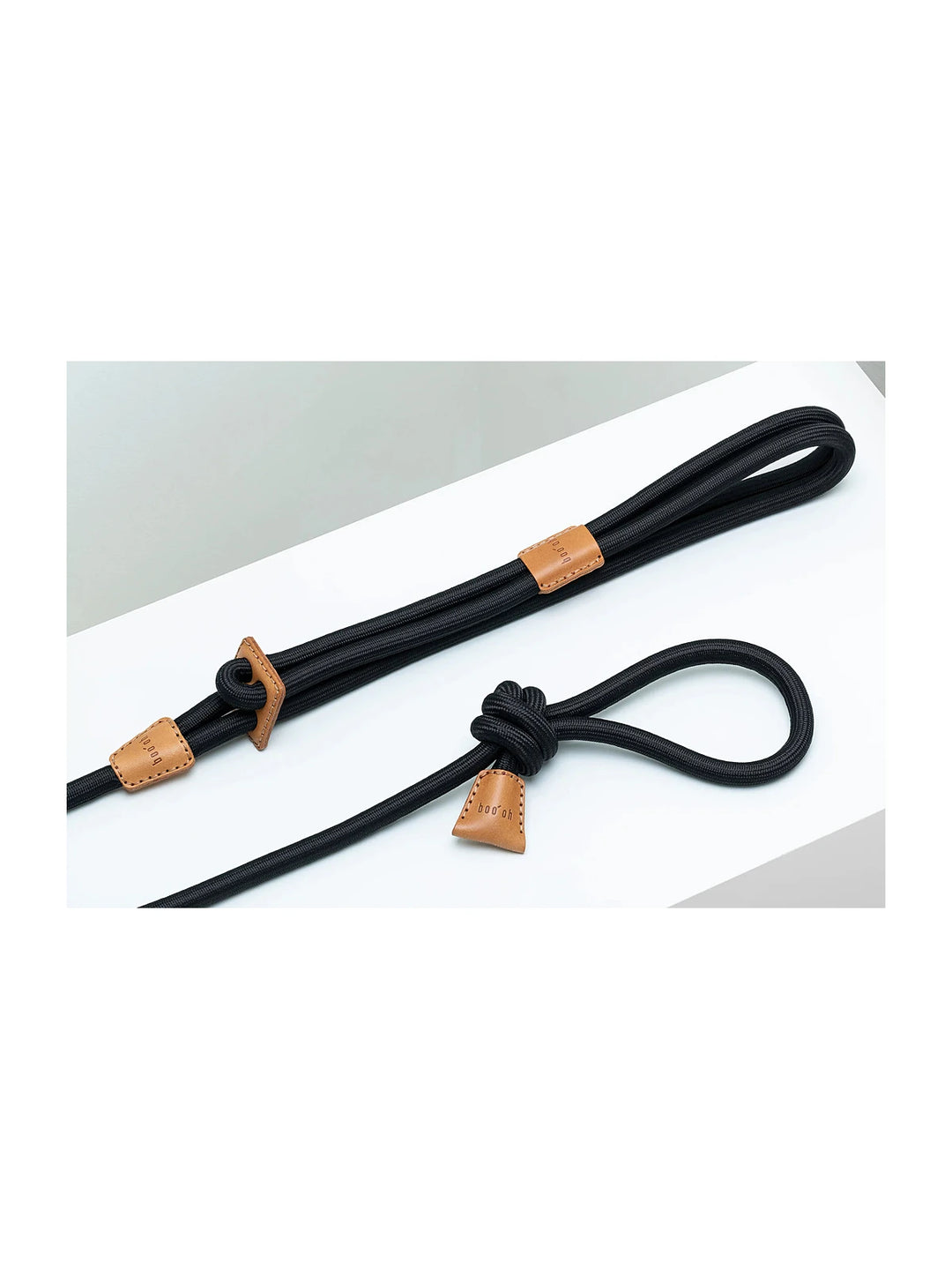 Ray Harness (Limited Time Offer)