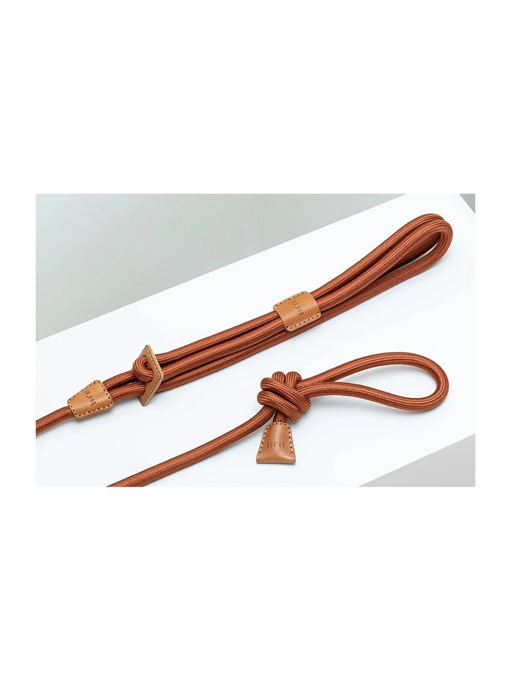 Ray Harness (Limited Time Offer)