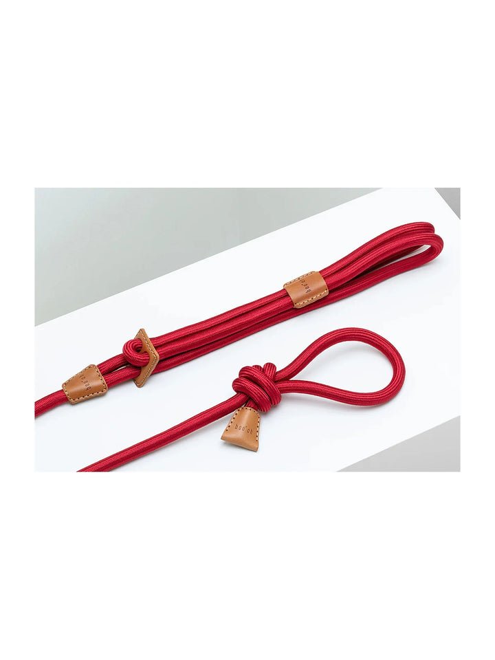 Ray Harness (Limited Time Offer)
