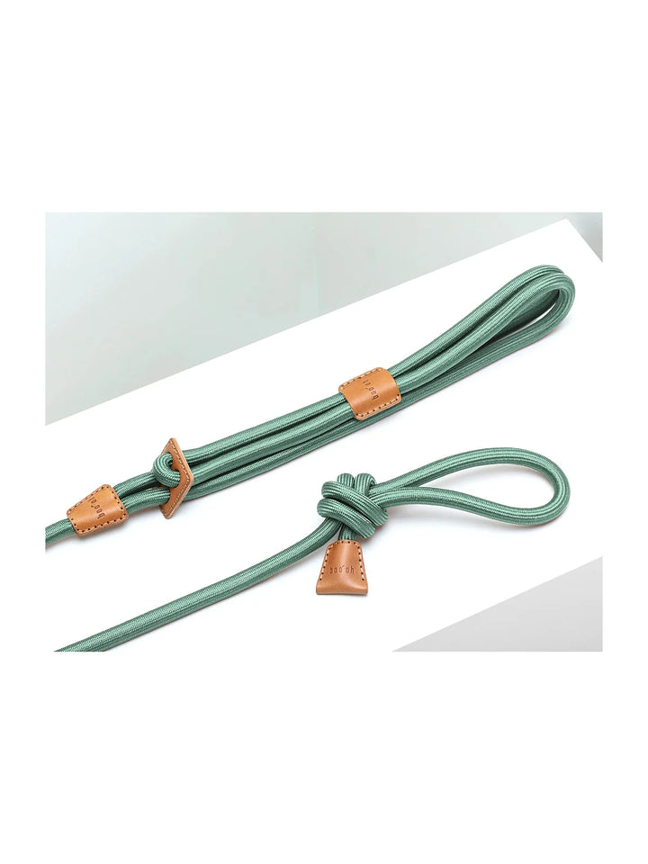 Ray Harness (Limited Time Offer)