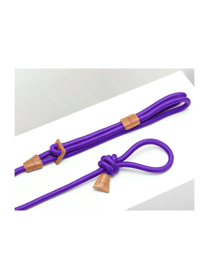 Ray Harness (Limited Time Offer)