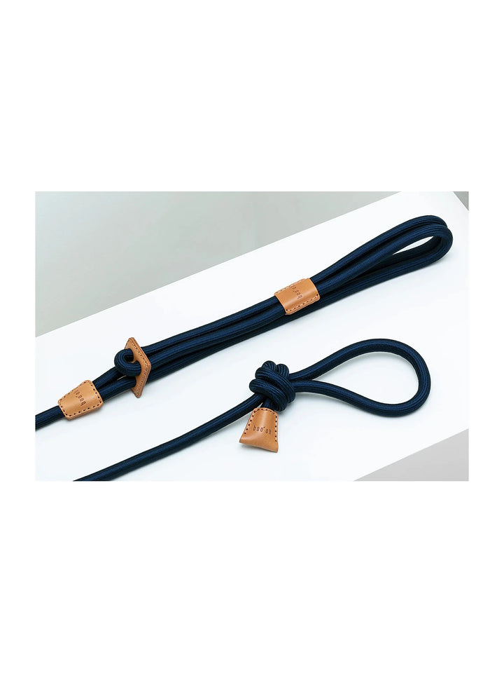 Ray Harness (Limited Time Offer)