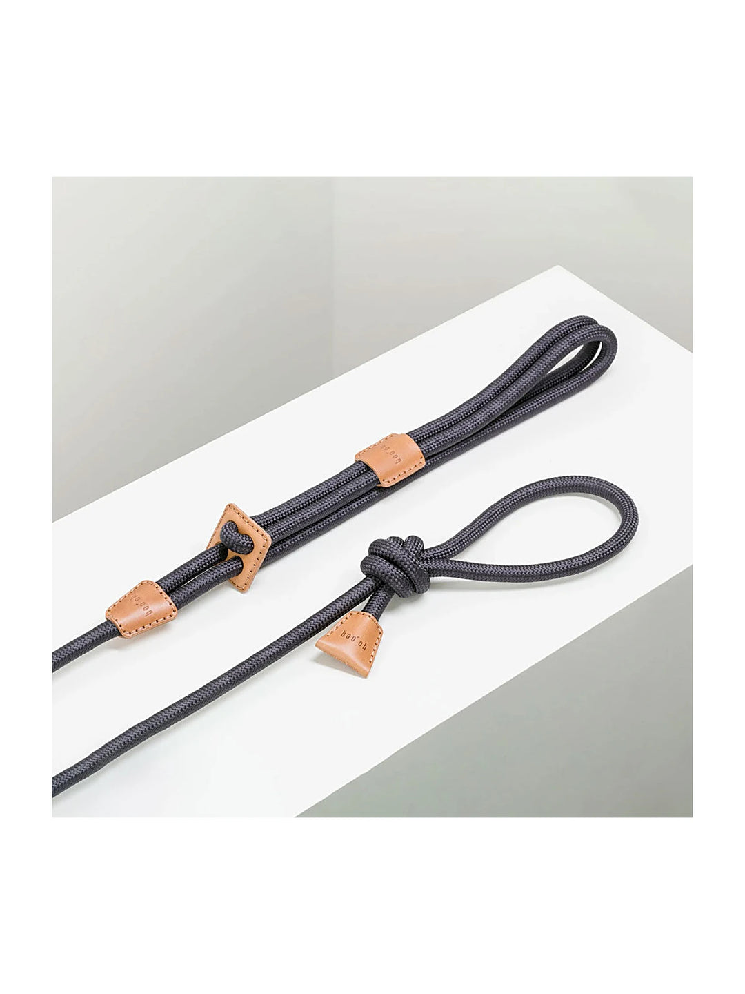 Ray Harness (Limited Time Offer)