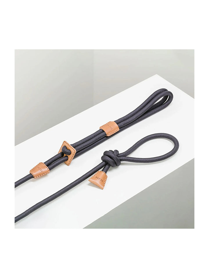 Ray Harness (Limited Time Offer)