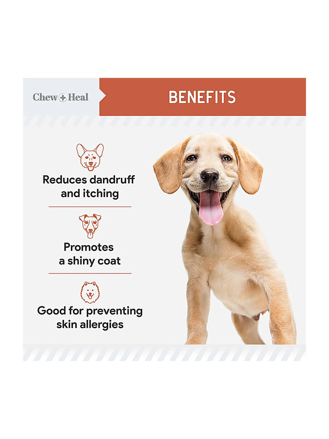 Salmon Omega Skin & Coat Supplement for Dogs