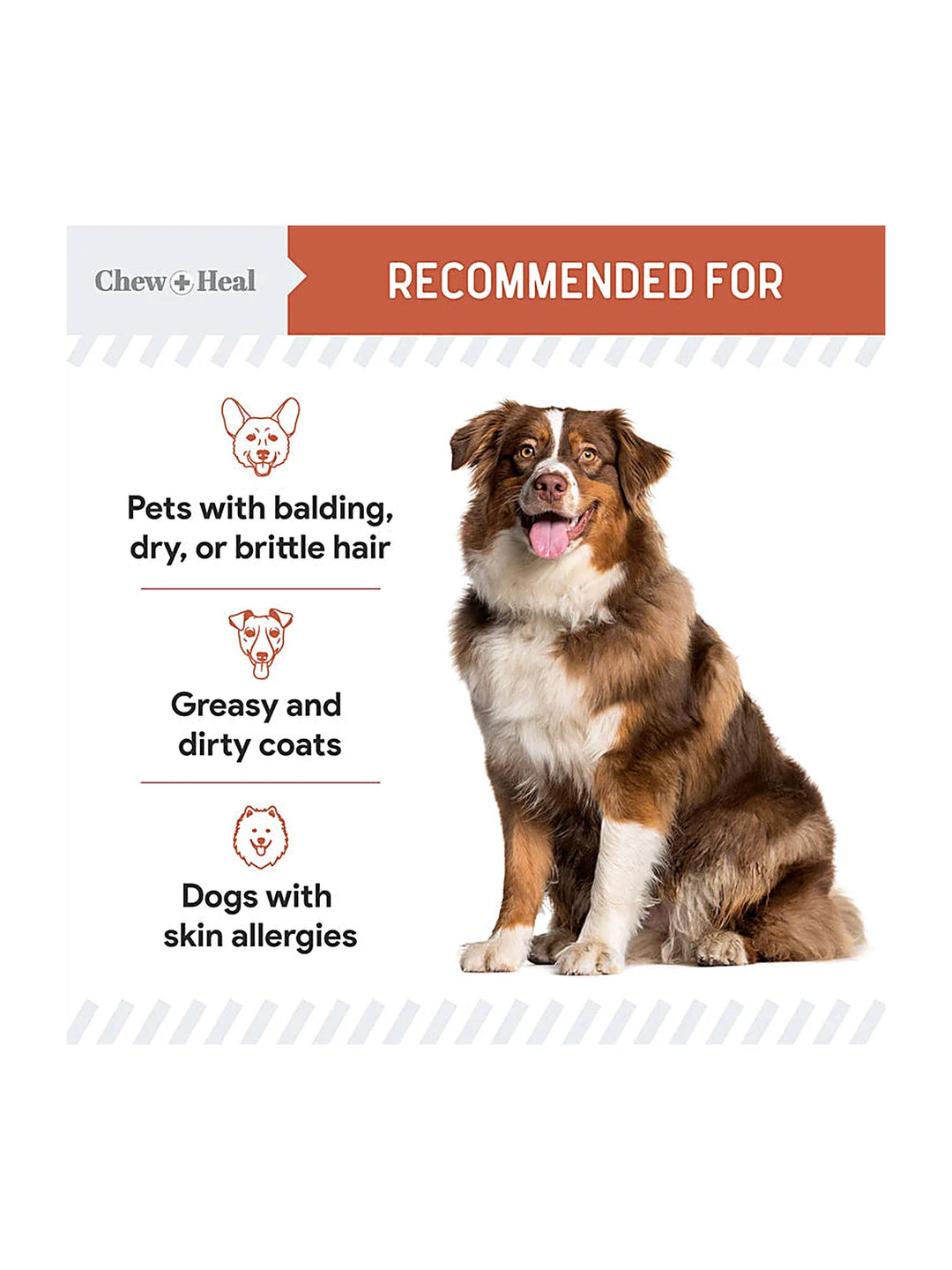 Salmon Omega Skin & Coat Supplement for Dogs