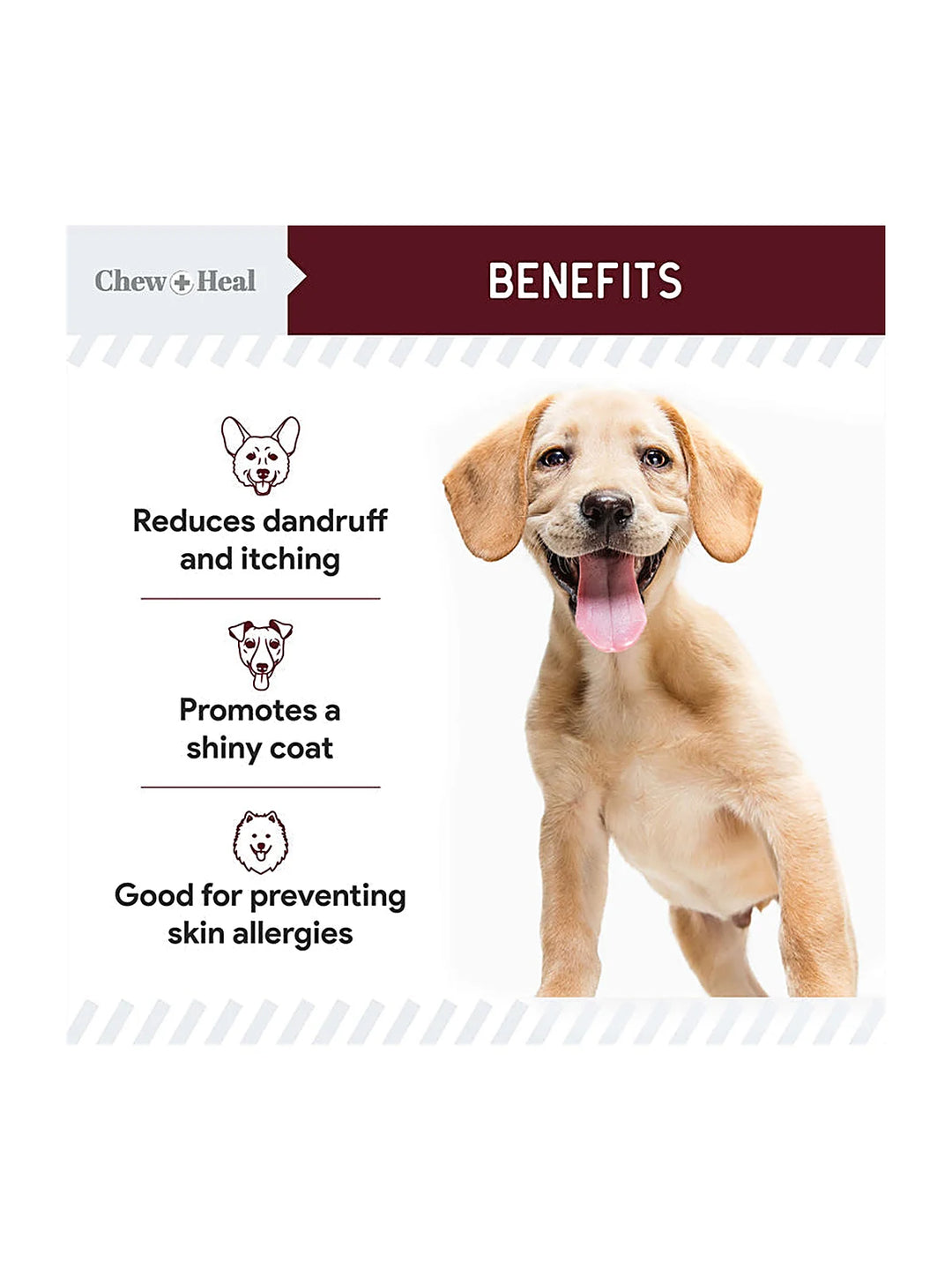 Savory Lamb Omega Skin & Coat Supplement for Dogs