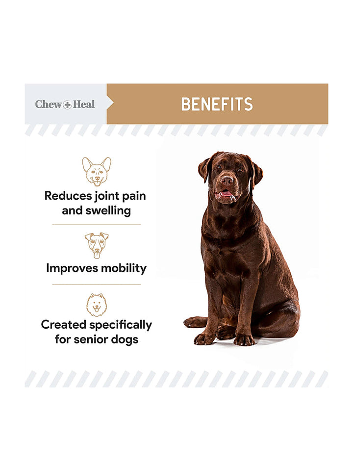 Hip & Joint Mobility Peanut Butter Flavored Soft Chew Senior Dog Supplement
