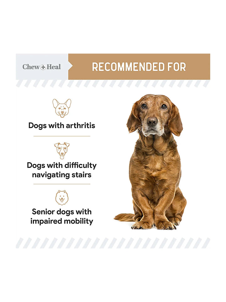 Hip & Joint Mobility Peanut Butter Flavored Soft Chew Senior Dog Supplement