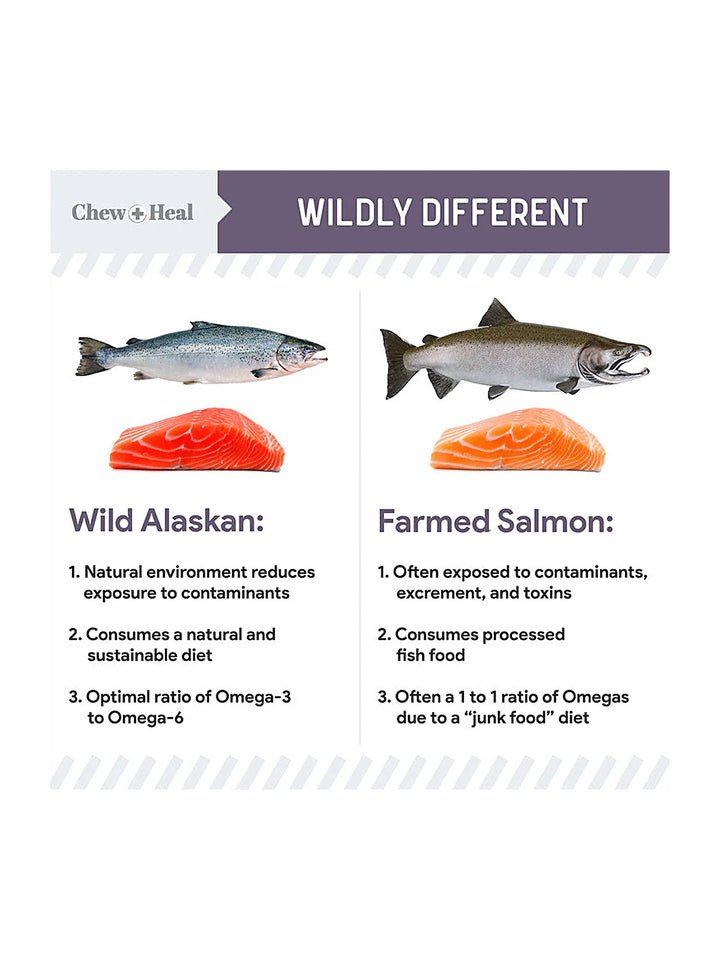 Senior Wild Alaskan Salmon Limited Ingredient Soft Jerky Dog Treats