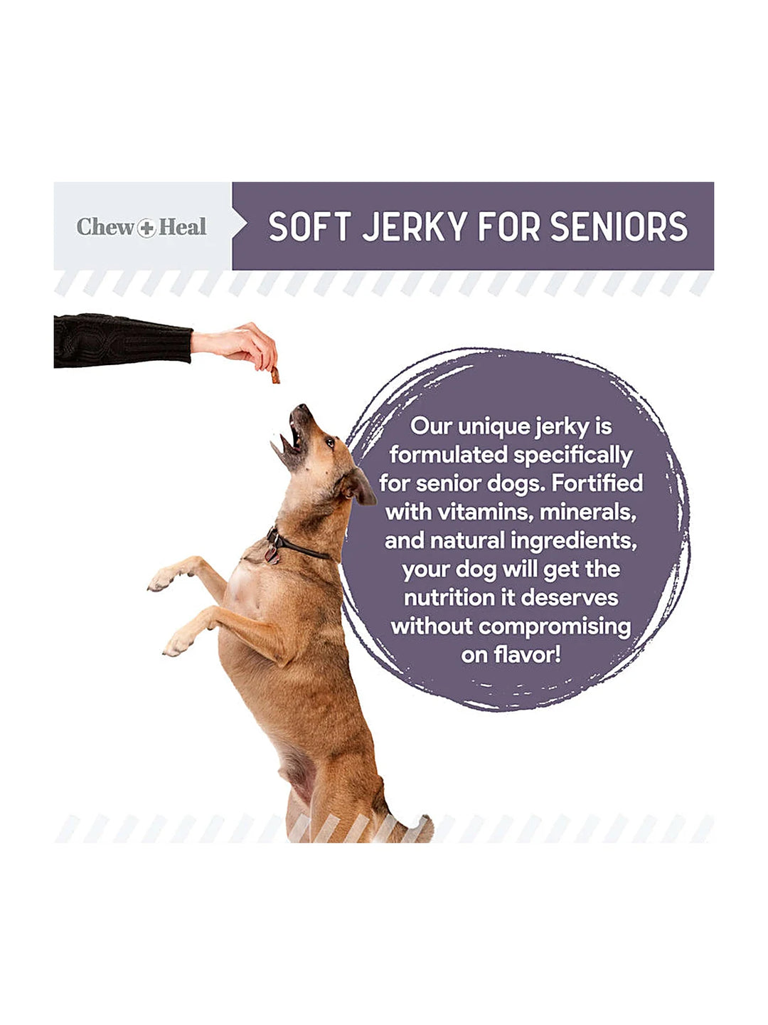 Senior Wild Alaskan Salmon Limited Ingredient Soft Jerky Dog Treats