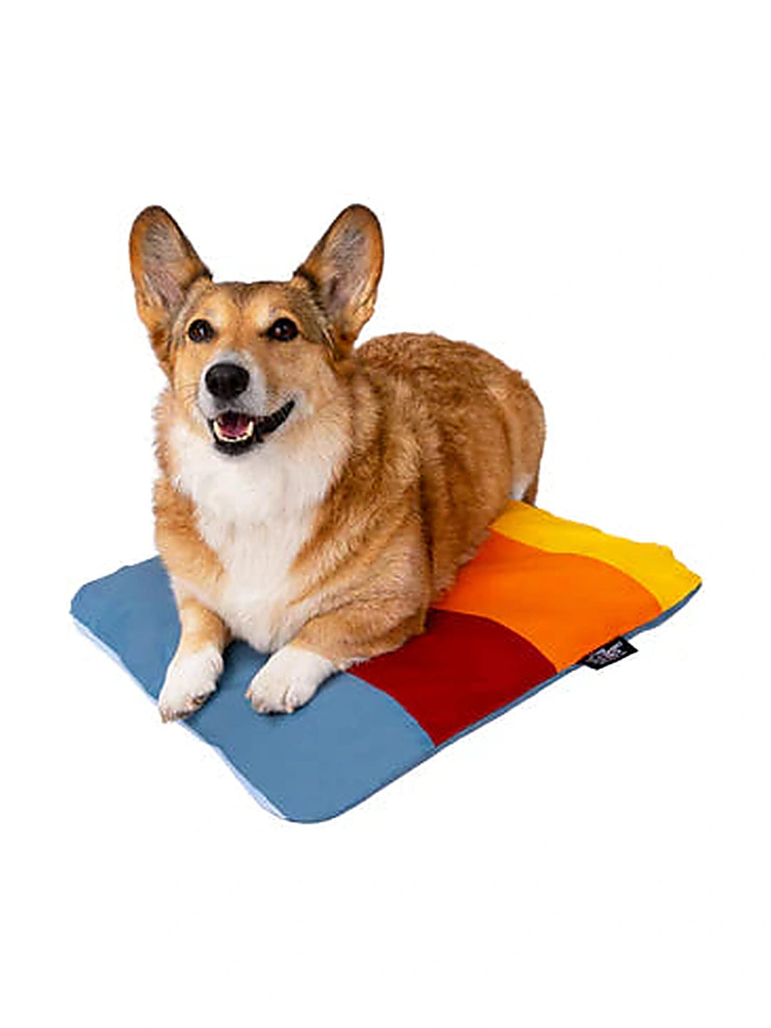 Sleeper Inflatable Travel Dog Bed Online - Paw Haven UAE