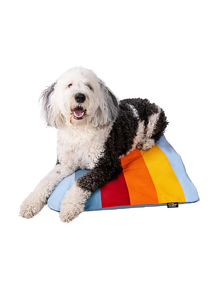 Sleeper Inflatable Travel Dog Bed Online - Paw Haven UAE