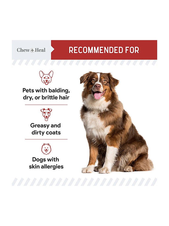 Smoked Bacon Omega Skin + Coat Supplement for Dogs