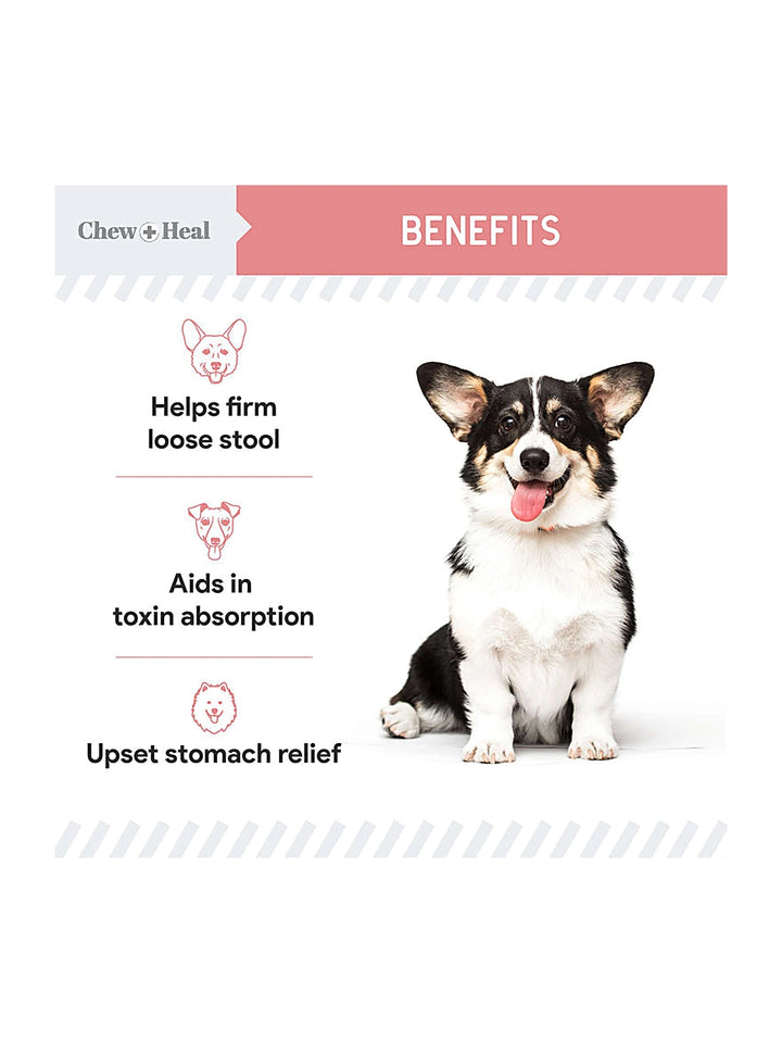 Stop The Diarrhea Liquid Digestive Aid for Dogs 2oz