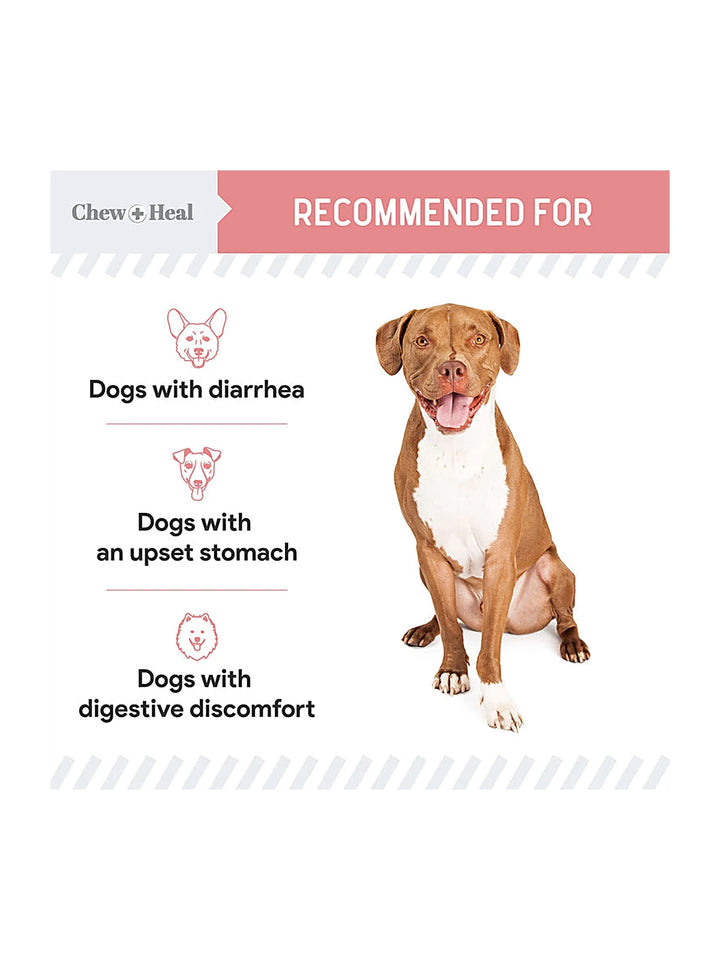 Stop The Diarrhea Liquid Digestive Aid for Dogs 2oz