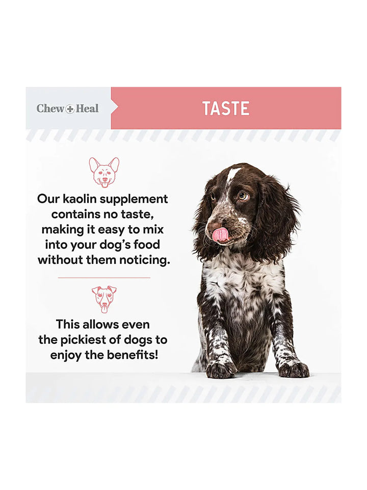 Stop The Diarrhea Liquid Digestive Aid for Dogs 2oz