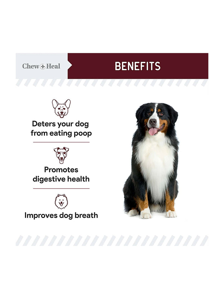 Roasted Lamb Stop The Poo Soft Chew Coprophagia & Digestive Supplement for Dogs
