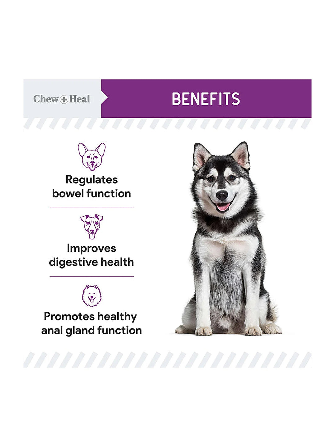 Stop the Scoot Anal Gland Support & Bowel Function Supplement for Dogs - Chews
