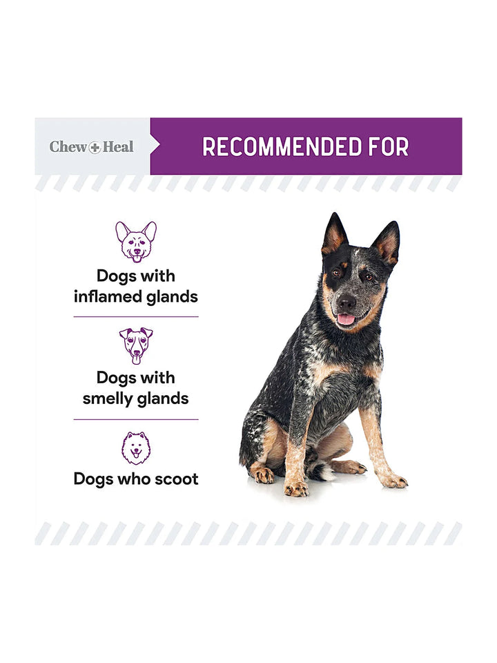Stop the Scoot Anal Gland Support & Bowel Function Supplement for Dogs - Chews