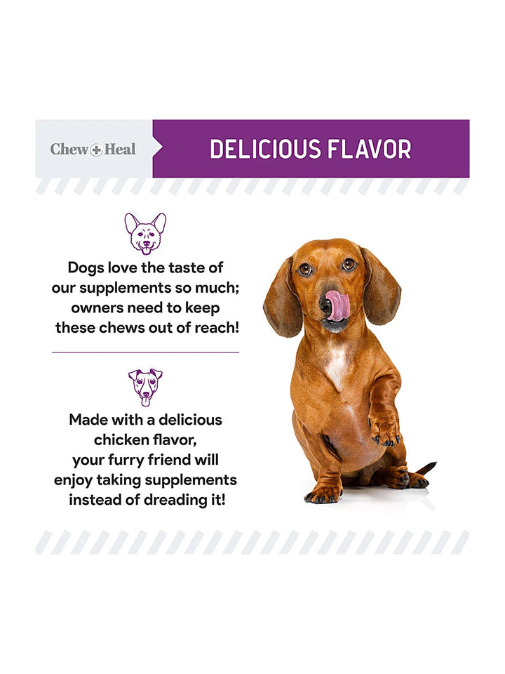 Stop the Scoot Anal Gland Support & Bowel Function Supplement for Dogs - Chews
