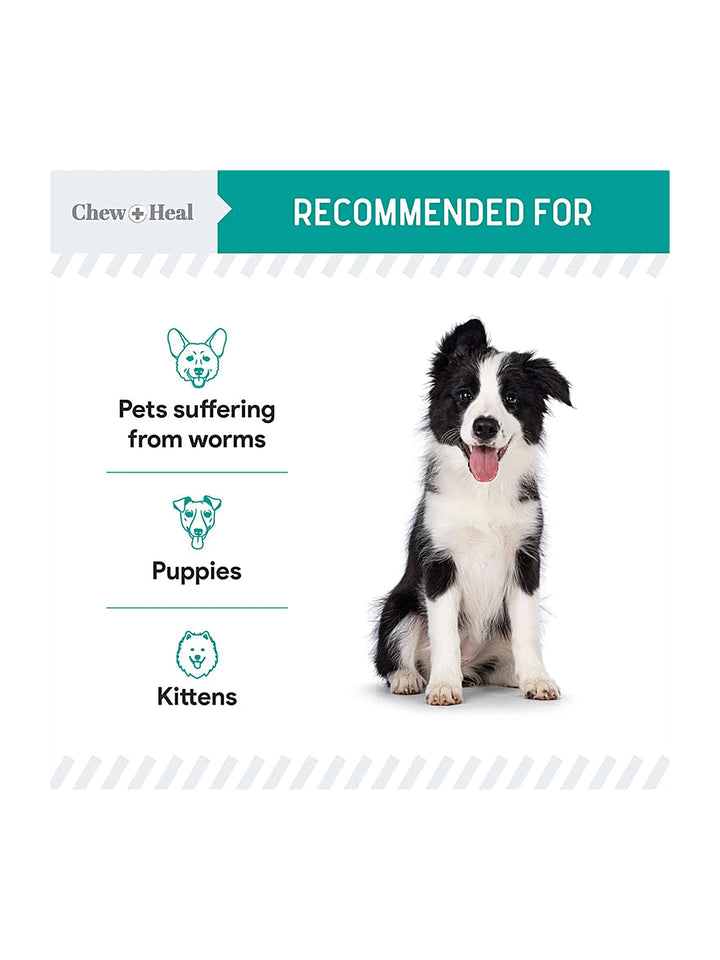 Stop The Worms Wormer for Puppies & Kittens 12oz