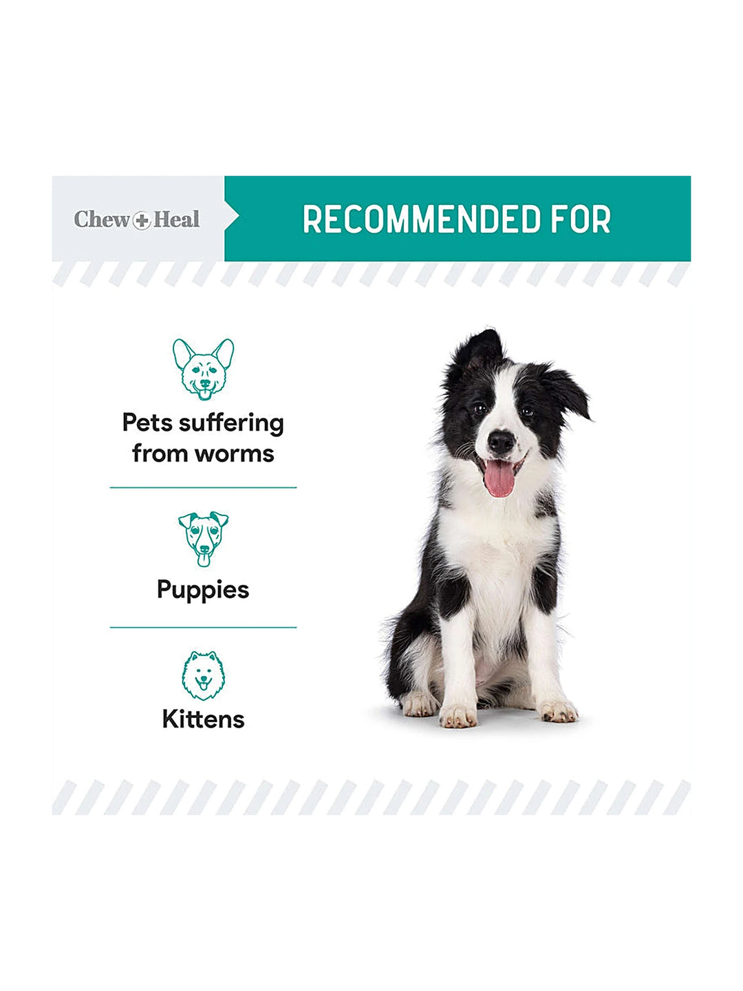 Stop The Worms Wormer for Puppies & Kittens 4oz