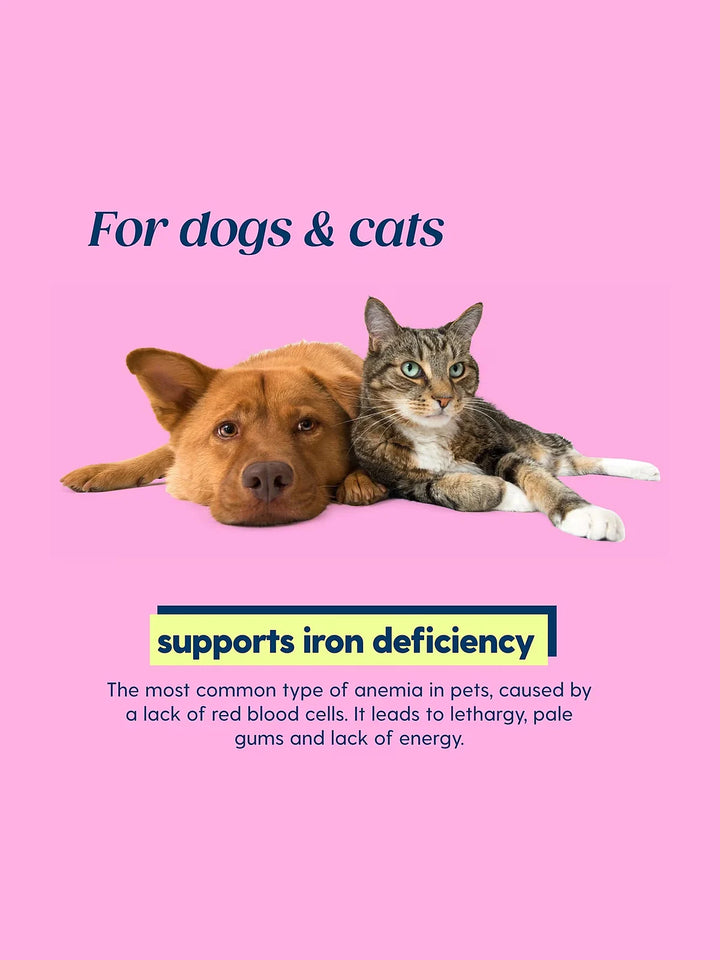 Taily Iron Supplement for Dogs & Cats, 4 oz