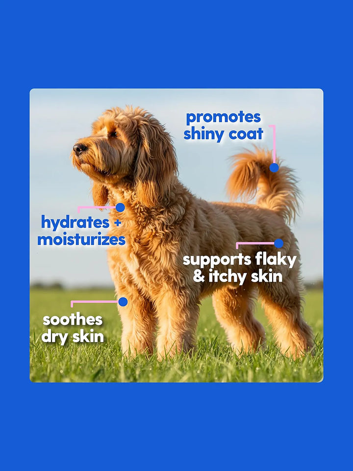 Taily Multivitamin with Liquid Collagen for Dogs and Cats, 4 oz