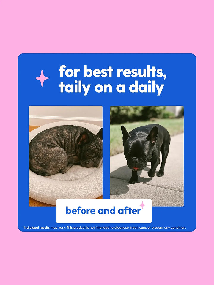 Taily Multivitamin with Liquid Collagen for Dogs and Cats, 4 oz