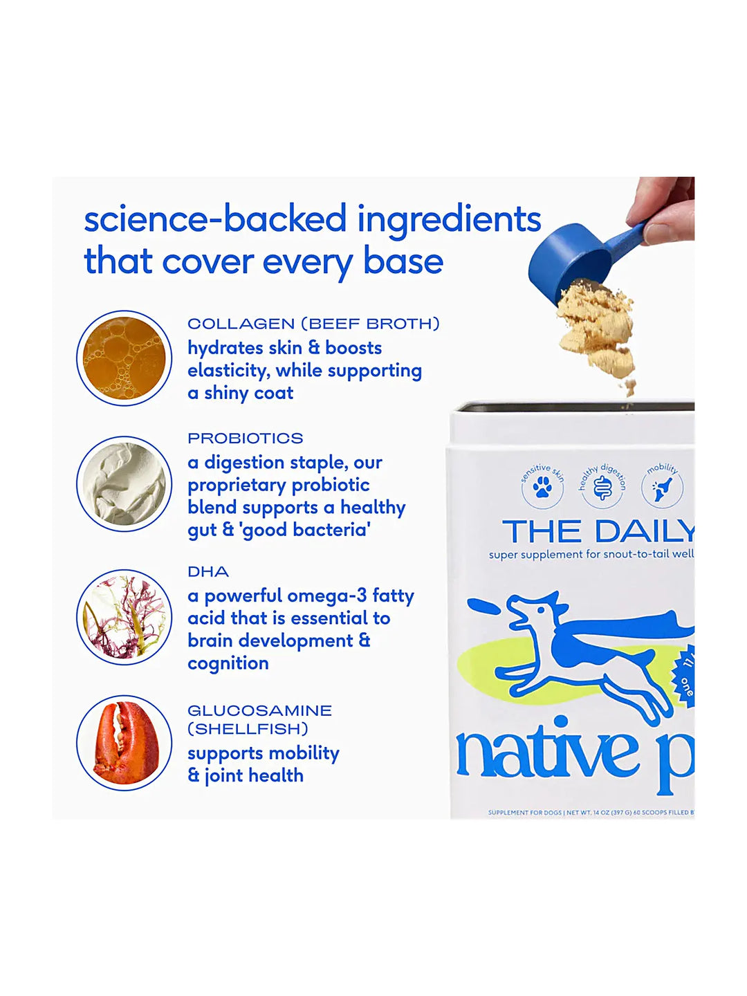 The Daily-Super supplement for snout-to-tail wellness
