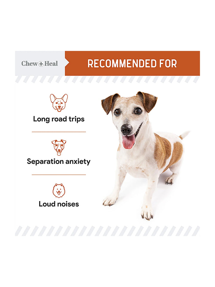 Calming Anxiety Relief Bites for Dogs - 60 Chews